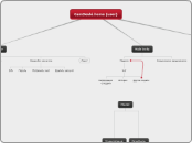 CamDevki.home (user) - Мыслительная карта