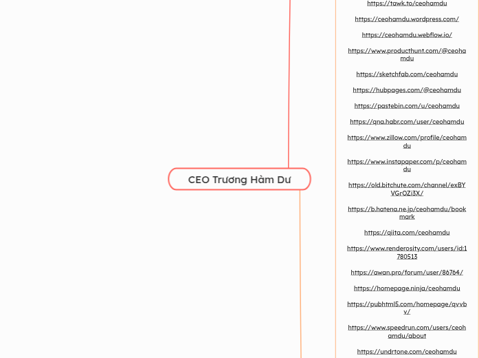 CEO Trương Hàm Dư - Mind Map
