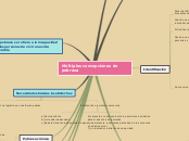 Múltiples concepciones de pobreza - Mapa Mental