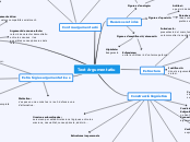 Text Argumentatiu - Mapa Mental