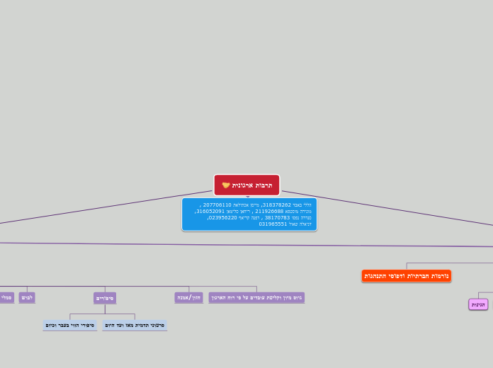תרבות ארגונית - Mind Map