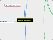 Natural Vegetation - Mind Map