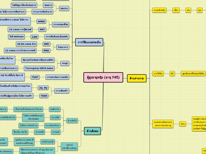 ผู้สูงอายุหญิง (อายุ 74ปี) - Mind Map