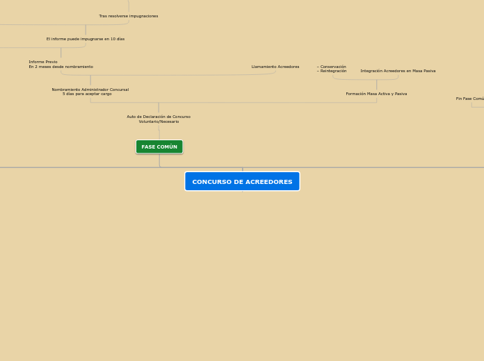 CONCURSO DE ACREEDORES - Mapa Mental