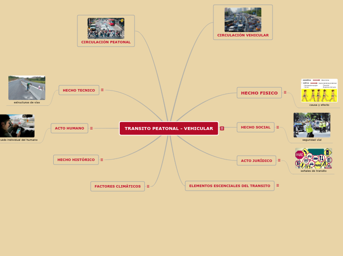 TRANSITO PEATONAL - VEHICULAR - Mapa Mental