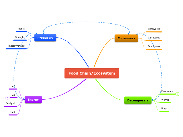 Food Chain/Ecosystem - Mind Map