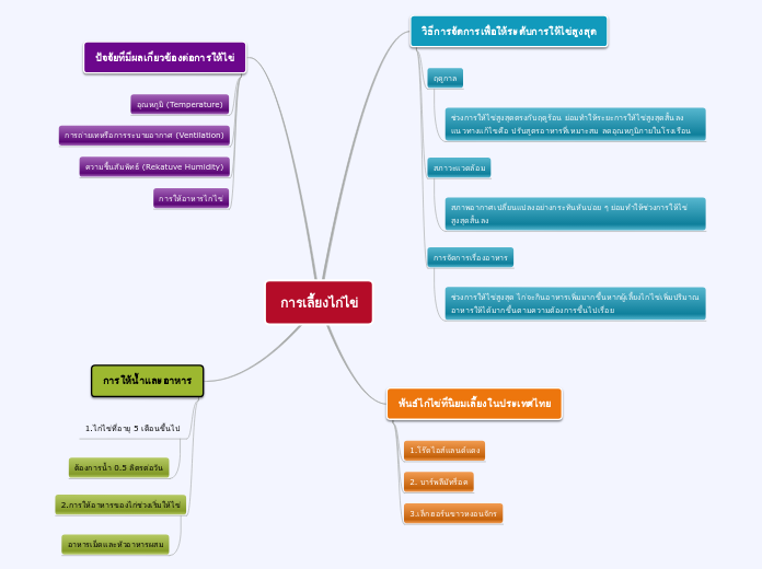 การเลี้ยงไก่ไข่ - Mind Map