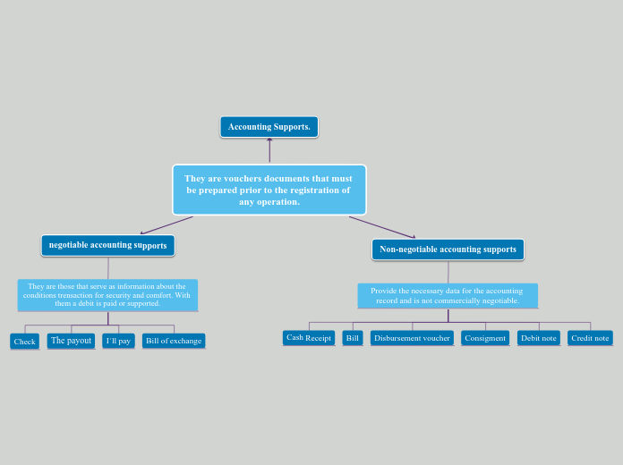 They are vouchers documents that must be p...- Mind Map
