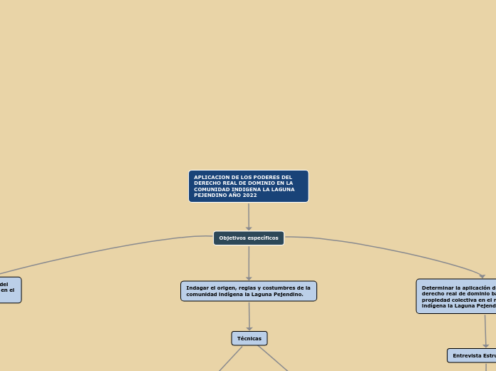 APLICACION DE LOS PODERES DEL DERECHO R...- Mapa Mental