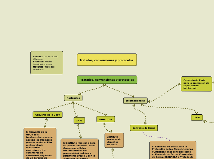 Tratados, convenciones y protocolos - Mapa Mental