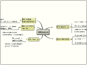 Milevica - Mind Map