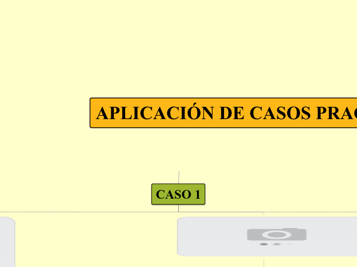 APLICACIÓN DE CASOS PRACTICOS - Mapa Mental