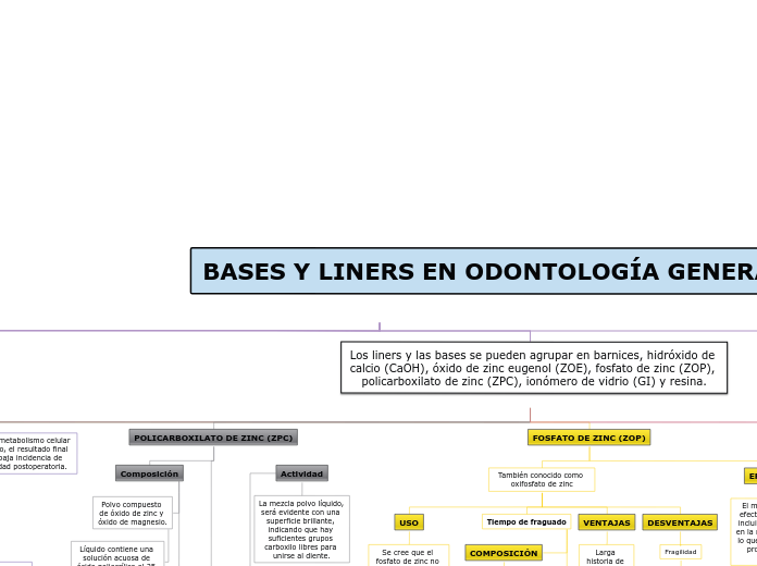 BASES Y LINERS 