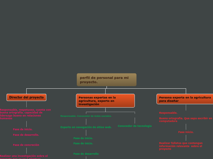 perfil de personal para mi proyecto. - Mapa Mental