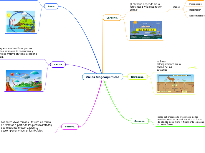 Ciclos Biogeoquímicos - Mapa Mental