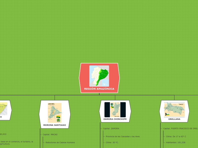 REGIÓN AMAZÓNICA - Mapa Mental