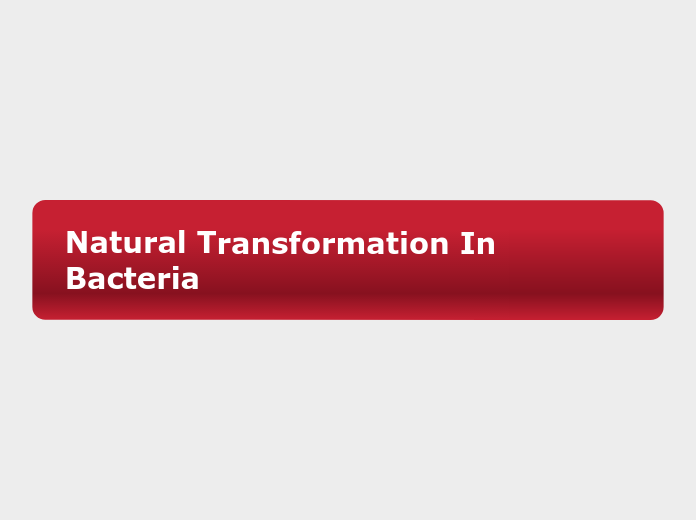 Natural transformation in bacteria mind map