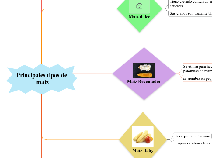 Principales tipos de maíz - Mind Map