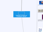BF Ressources numériques - Carte Mentale