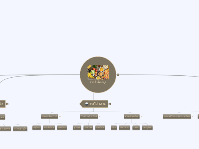 สารชีวโมเลกุล - Mind Map