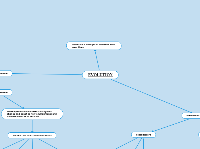 EVOLUTION - Mind Map