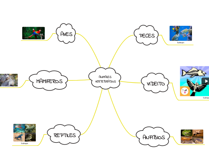ANIMALES VERTEBRADOS - Mapa Mental