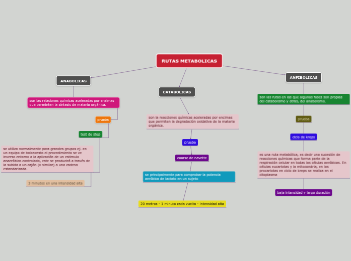 RUTAS METABOLICAS