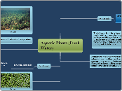 Aquatic Plants (Fresh Water) - Mind Map