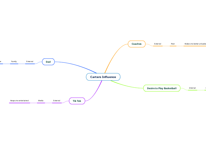 Carters Influence Mind Map