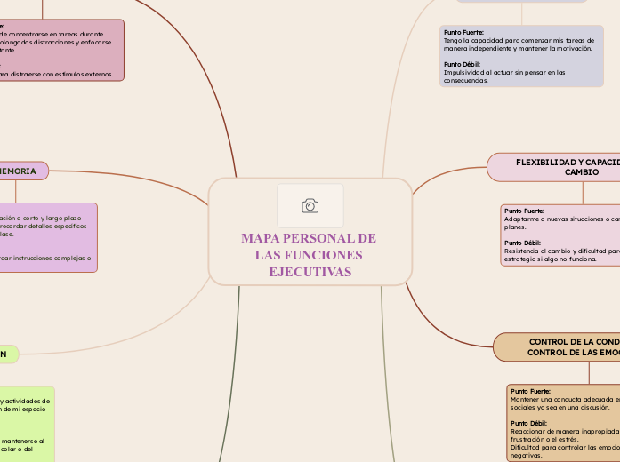 MAPA PERSONAL DE LAS FUNCIONES EJECUTIVAS