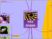 zea mays - Adimen Mapa