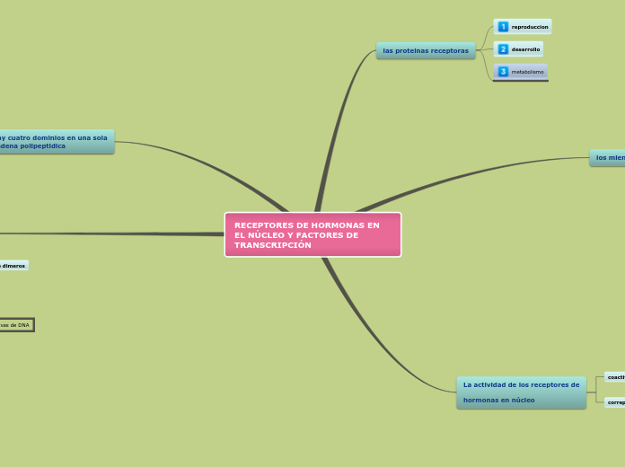 RECEPTORES DE HORMONAS EN EL NÚCLEO Y F...- Mapa Mental