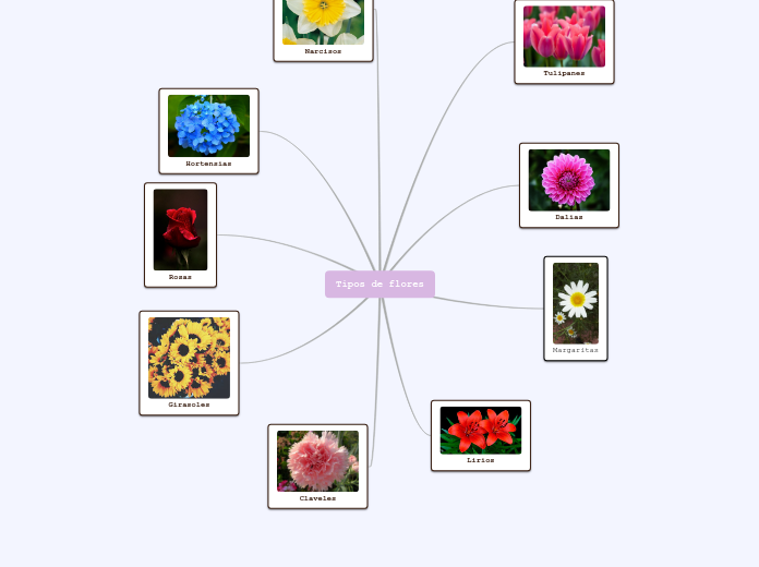 Tipos de flores - Mind Map
