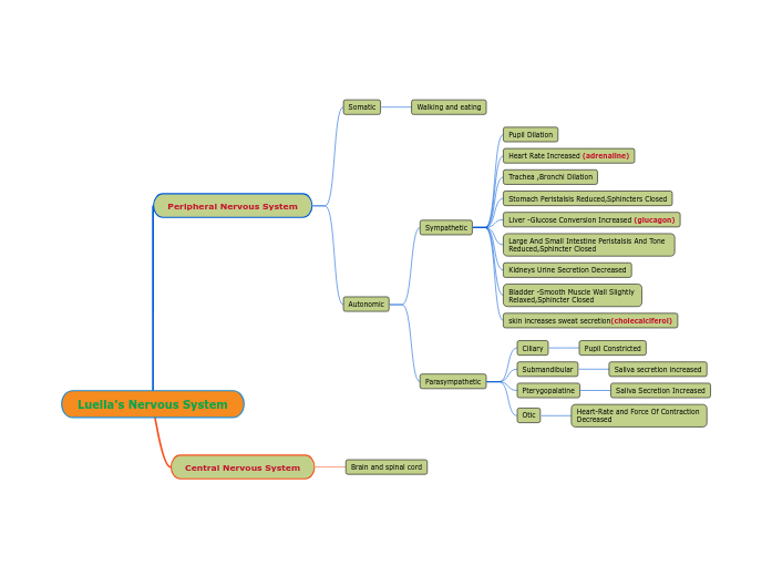 Luella's Nervous System - Mind Map