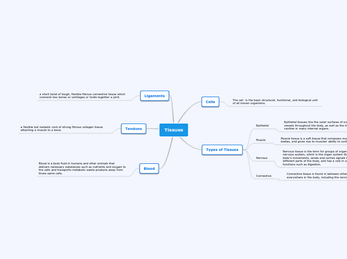 Tissues - Mind Map