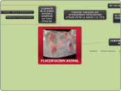 PLACENTACION ANIMAL - Mapa Mental