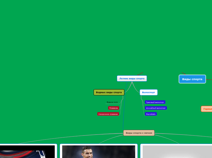 Виды спорта - Мыслительная карта