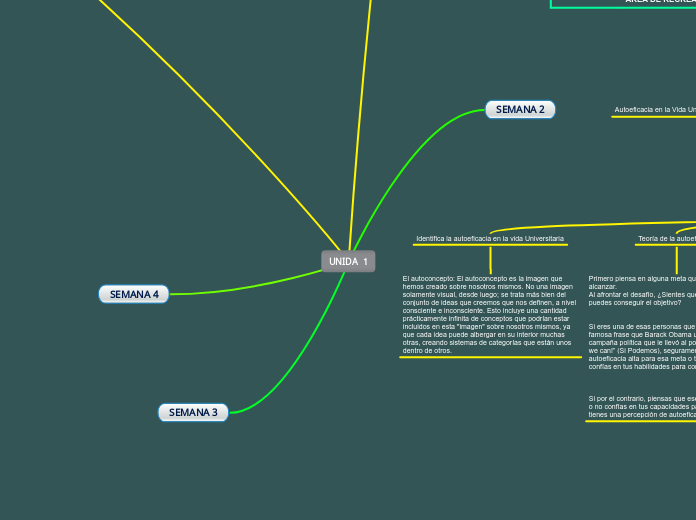 UNIDA  1 - Mapa Mental