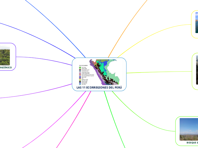 LAS 11 ECORREGIONES DEL PERÚ - Mapa Mental