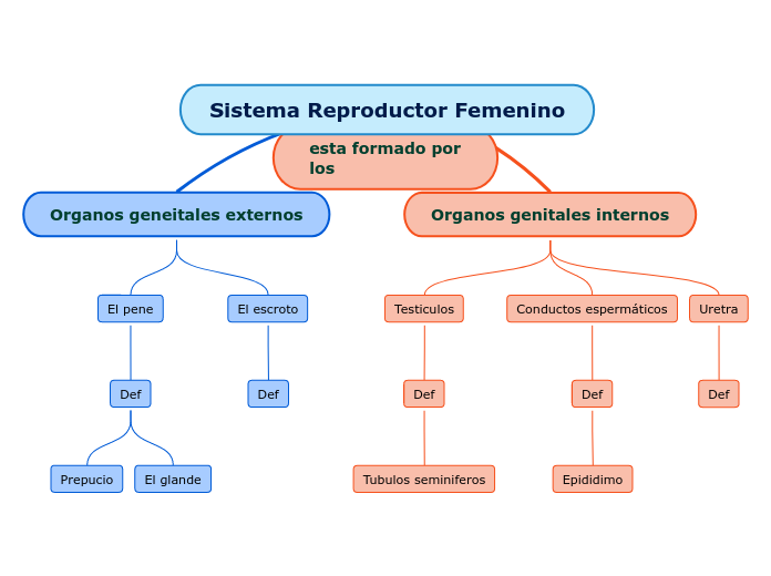 Sistema Reproductor Femenino - Mapa Mental