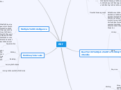 Elif - Mind Map