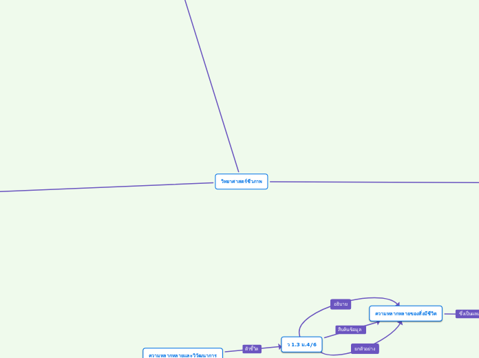 วิทยาศาสตร์ชีวภาพ - Mind Map