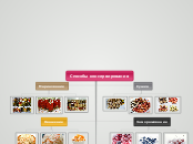 Способы консервирования - Мыслительная карта