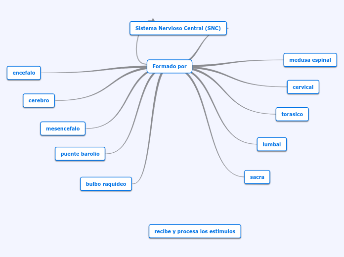 Formado por - Mapa Mental