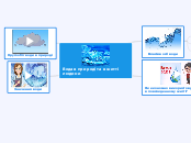 Вода в природі та в житті людини - Mind Map