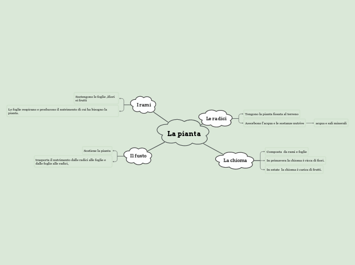 La pianta - Mappa Mentale