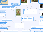 Living Things
-Eukaryotes - Mind Map