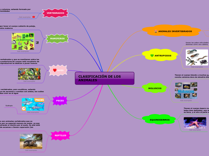 CLASIFICACIÓN DE LOS ANIMALES - Mapa Mental