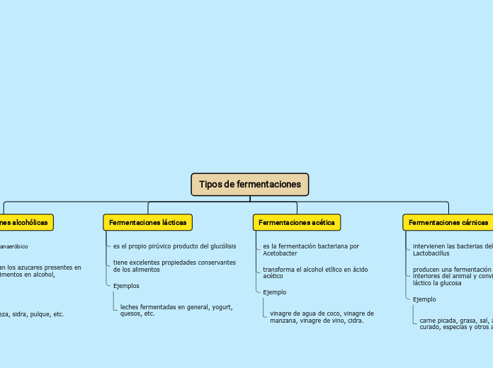 Tipos de fermentaciones