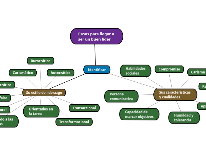 Pasos para llegar a ser un buen líder - Mind Map